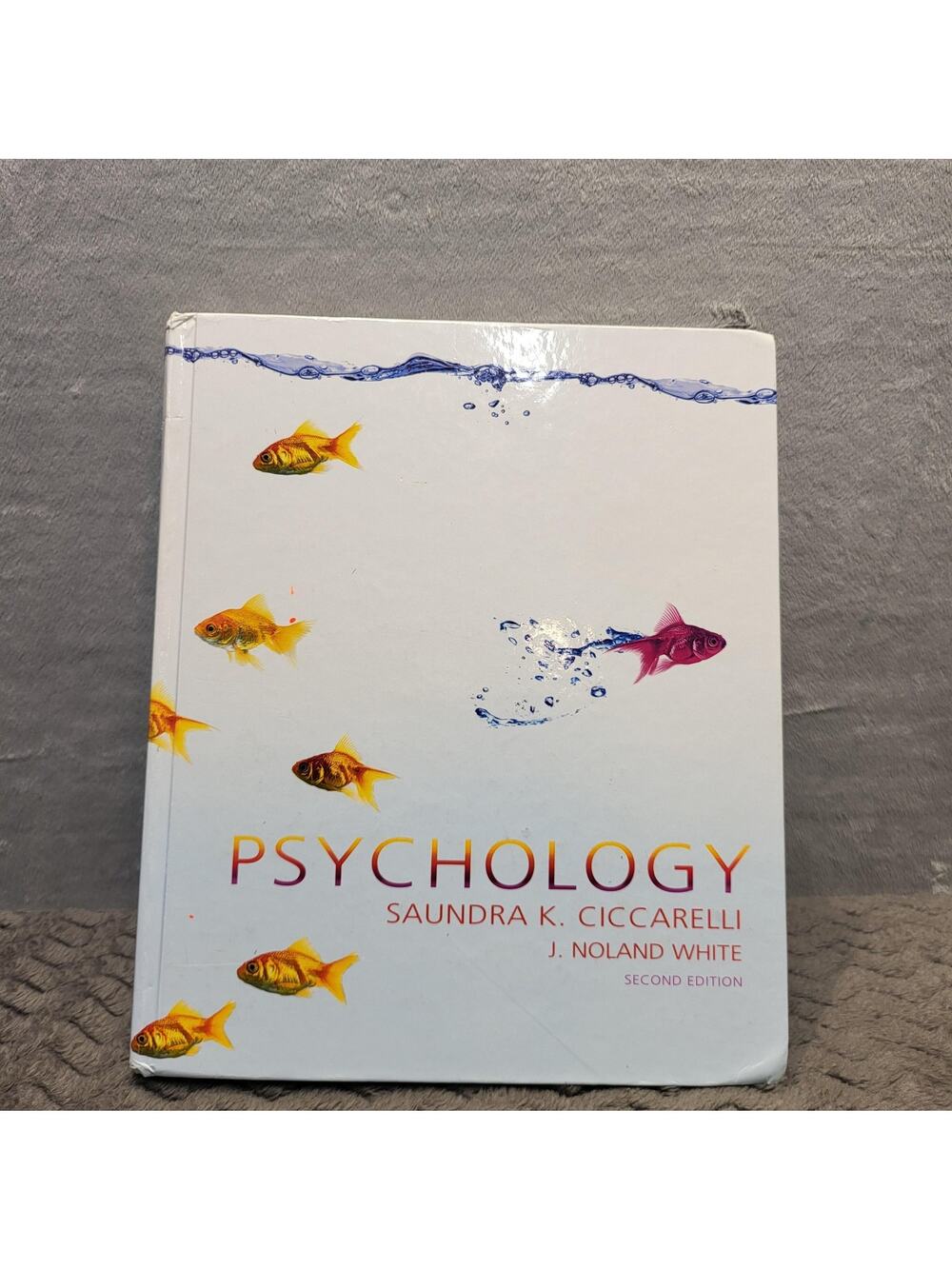 Psychology Ciccarelli & White Hardcover 2009 Pearson Prentice Hall Light Blue